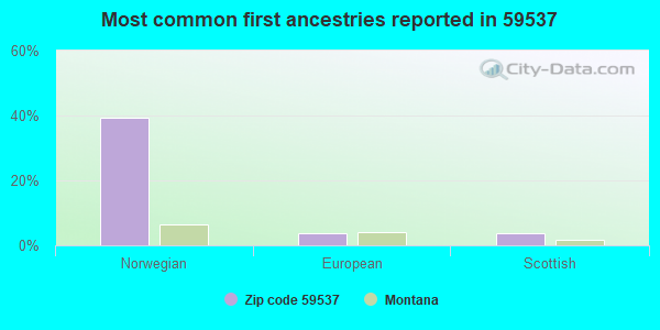 Most common first ancestries reported in 59537