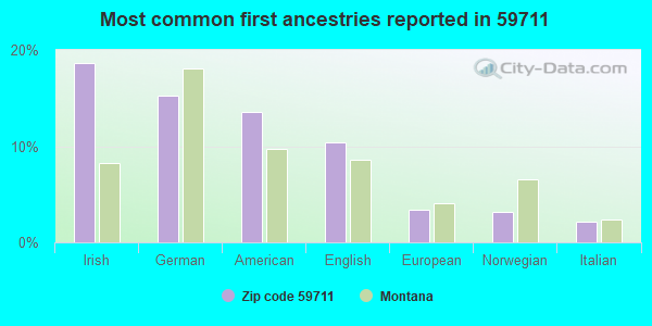 Most common first ancestries reported in 59711