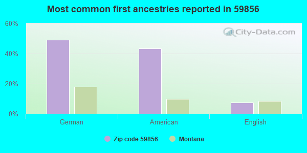 Most common first ancestries reported in 59856