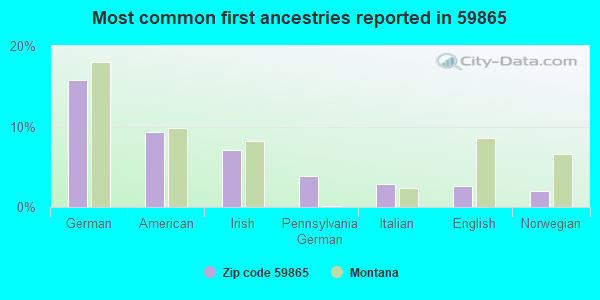 Most common first ancestries reported in 59865