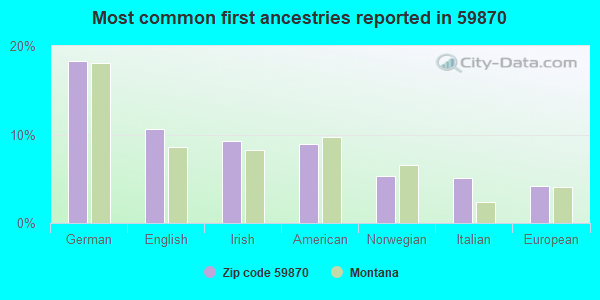 Most common first ancestries reported in 59870