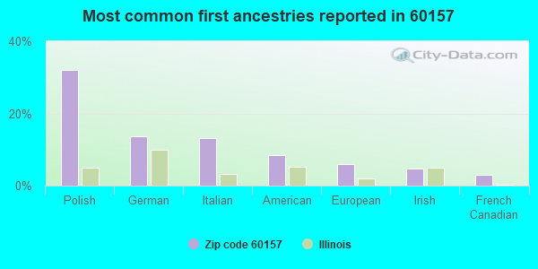 Most common first ancestries reported in 60157