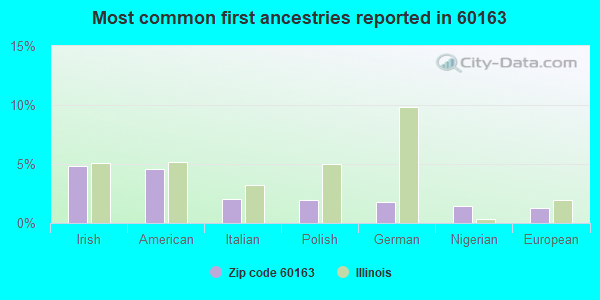 Most common first ancestries reported in 60163