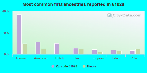 Most common first ancestries reported in 61028