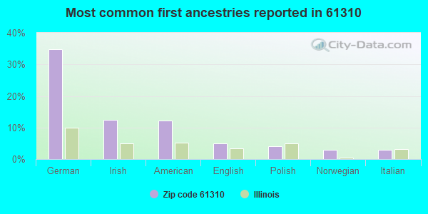 Most common first ancestries reported in 61310