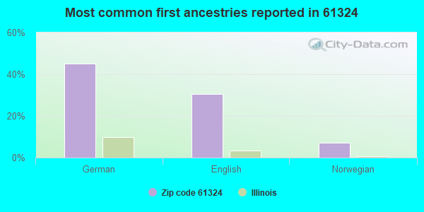 Most common first ancestries reported in 61324