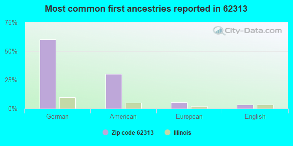 Most common first ancestries reported in 62313