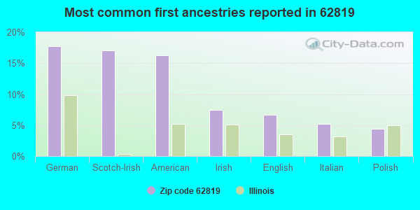 Most common first ancestries reported in 62819
