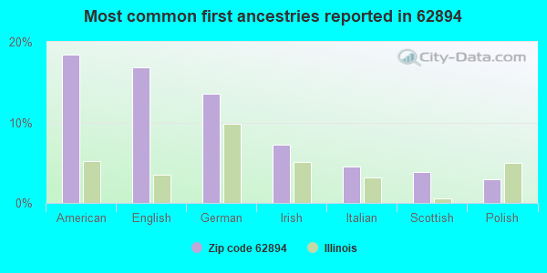 Most common first ancestries reported in 62894