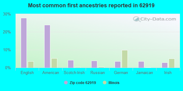 Most common first ancestries reported in 62919