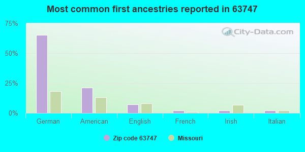 Most common first ancestries reported in 63747