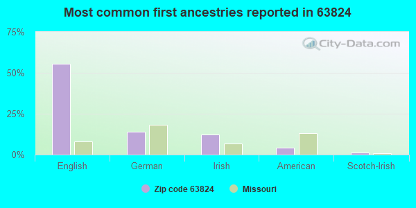 Most common first ancestries reported in 63824