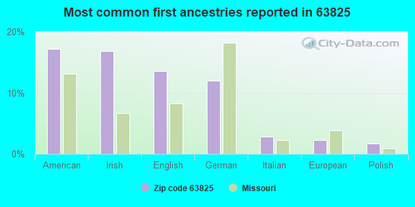 Most common first ancestries reported in 63825