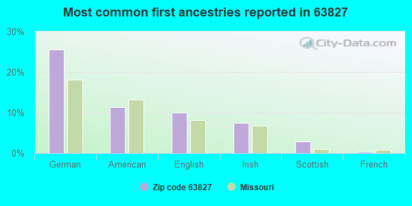 Most common first ancestries reported in 63827