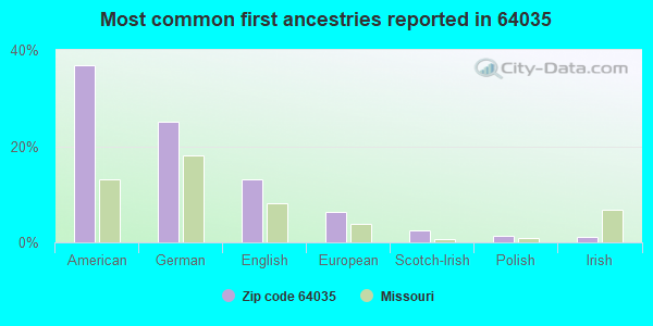 Most common first ancestries reported in 64035