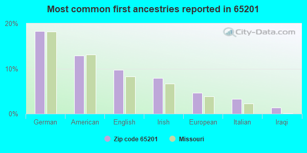 Most common first ancestries reported in 65201