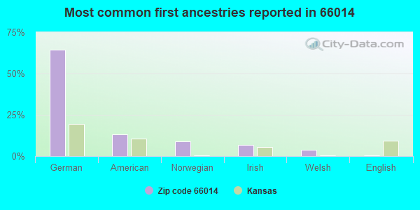 Most common first ancestries reported in 66014