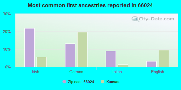 Most common first ancestries reported in 66024