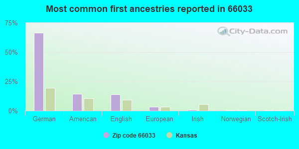 Most common first ancestries reported in 66033
