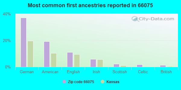 Most common first ancestries reported in 66075