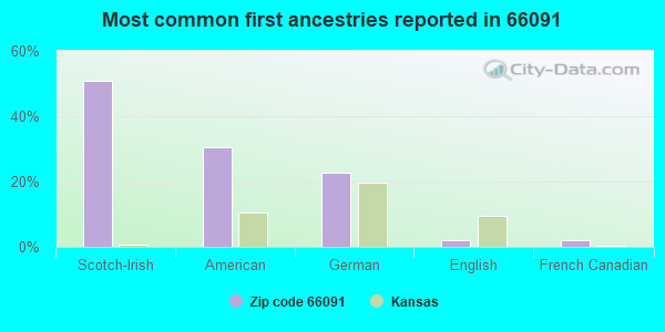 Most common first ancestries reported in 66091