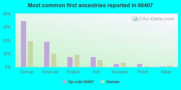 Most common first ancestries reported in 66407