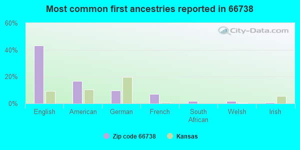 Most common first ancestries reported in 66738
