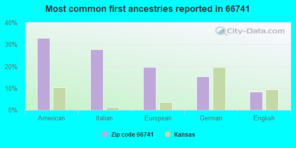 Most common first ancestries reported in 66741