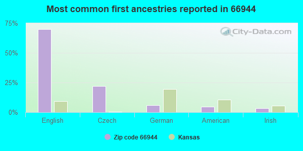 Most common first ancestries reported in 66944