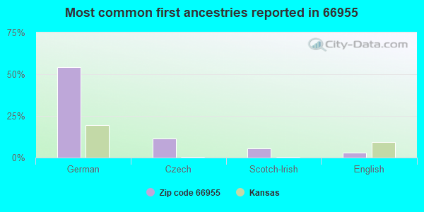 Most common first ancestries reported in 66955