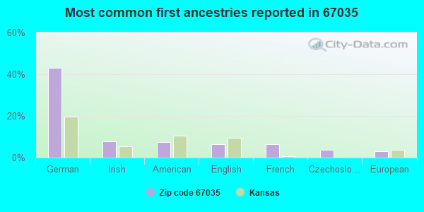 Most common first ancestries reported in 67035