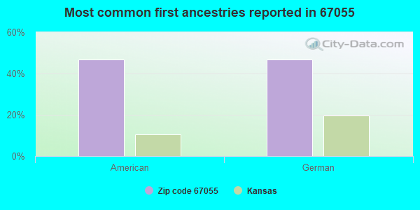 Most common first ancestries reported in 67055