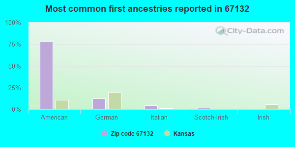 Most common first ancestries reported in 67132