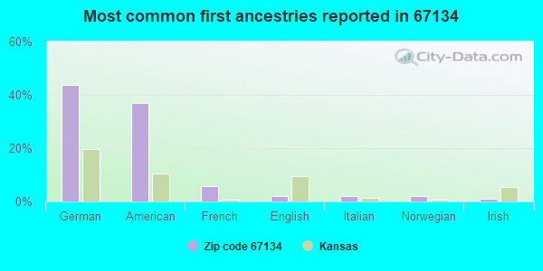 Most common first ancestries reported in 67134