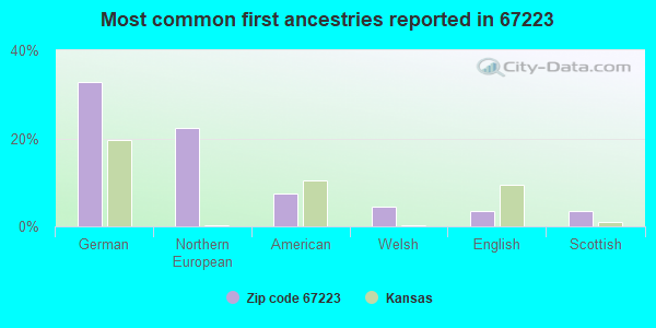 Most common first ancestries reported in 67223