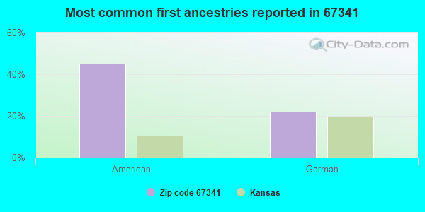 Most common first ancestries reported in 67341