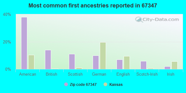 Most common first ancestries reported in 67347