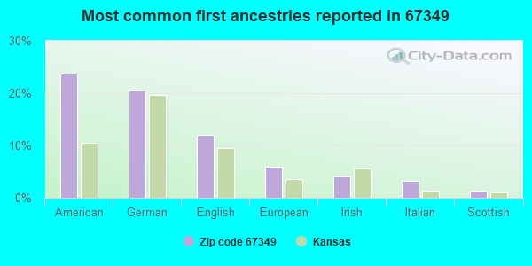Most common first ancestries reported in 67349