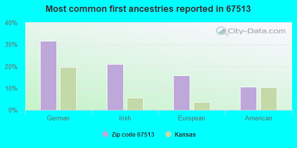 Most common first ancestries reported in 67513