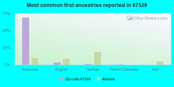 Most common first ancestries reported in 67529