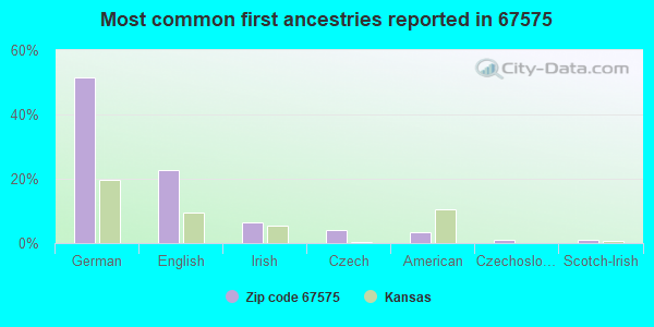 Most common first ancestries reported in 67575