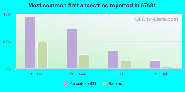 Most common first ancestries reported in 67631