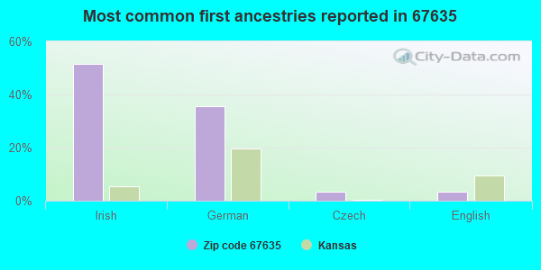 Most common first ancestries reported in 67635