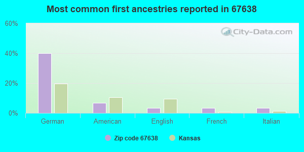 Most common first ancestries reported in 67638