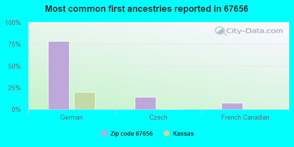 Most common first ancestries reported in 67656