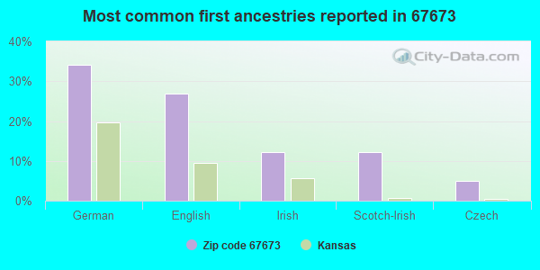 Most common first ancestries reported in 67673