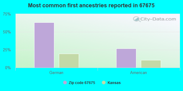 Most common first ancestries reported in 67675