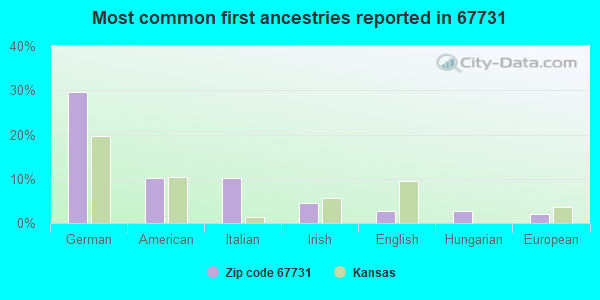 Most common first ancestries reported in 67731