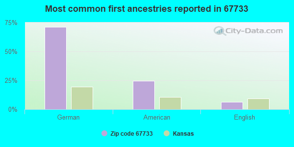 Most common first ancestries reported in 67733