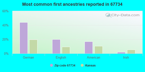Most common first ancestries reported in 67734